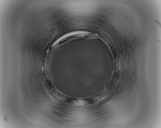 X0000098010316200804111239