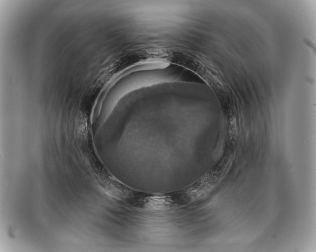 X0000098010320200804111239