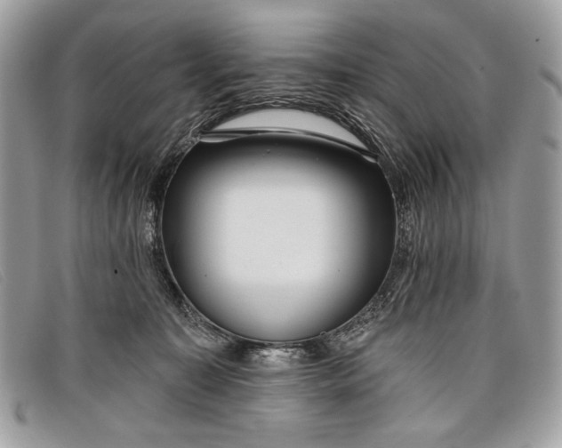 X0000098010323200804111239