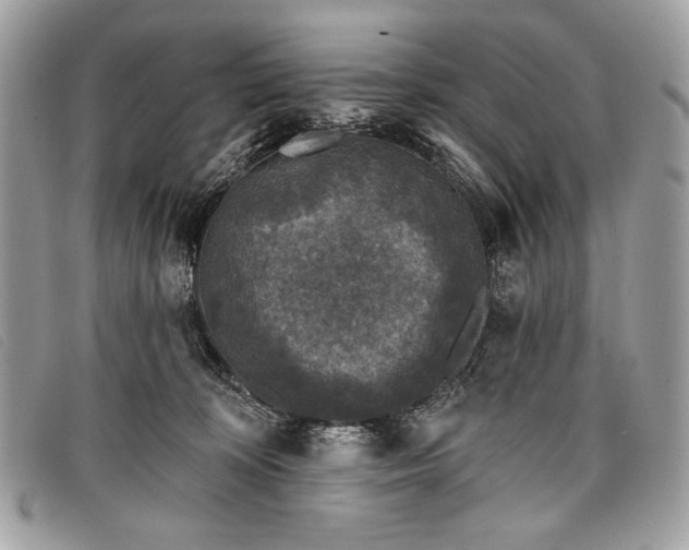 X0000098010324200804111239