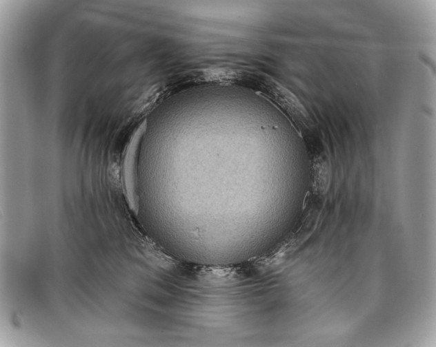 X0000098010329200804111239