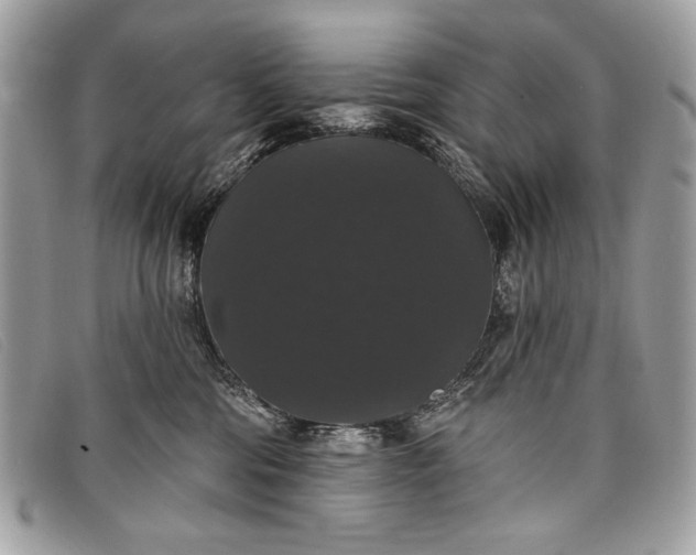 X0000098010330200804111239