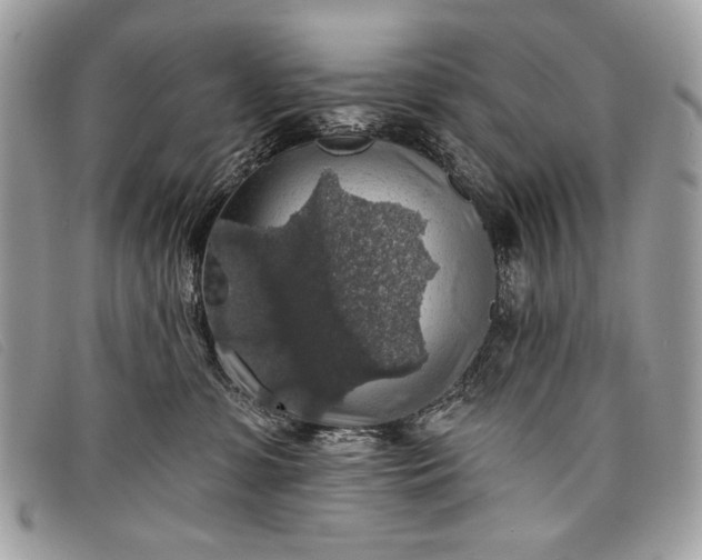 X0000098010331200804111239