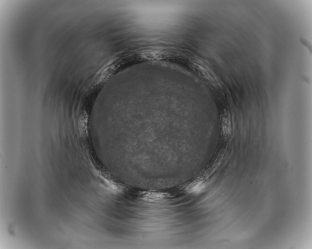 X0000098010332200804111239