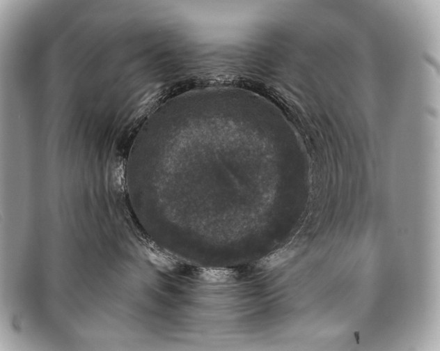 X0000098010336200804111239