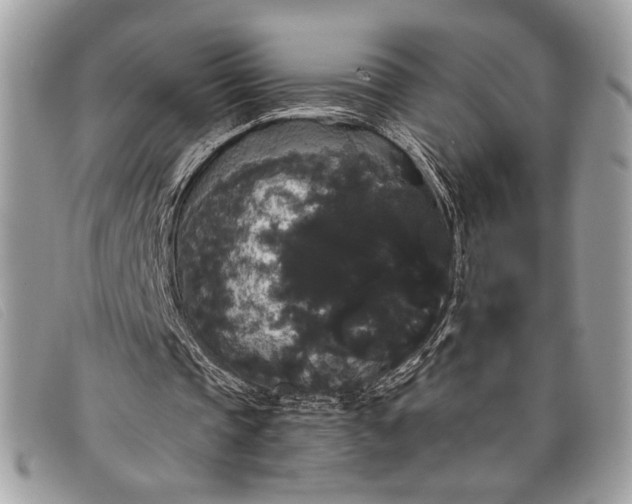 X0000098010337200804111238