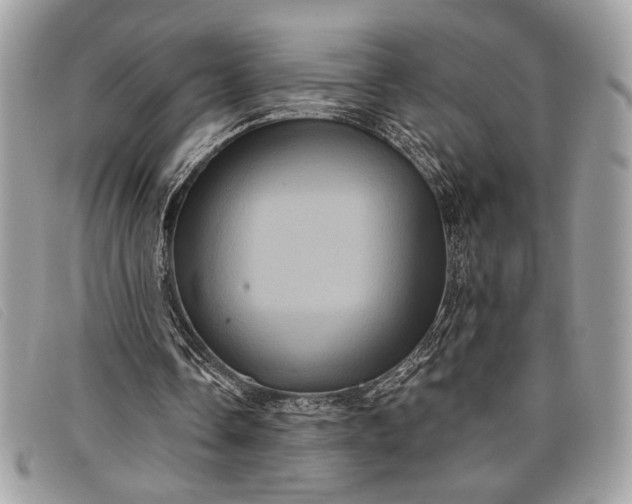 X0000098010338200804111238