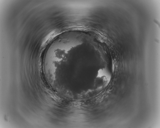 X0000098010339200804111238