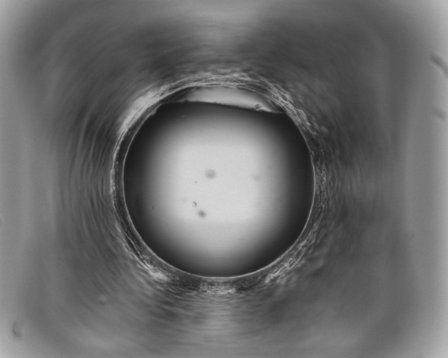 X0000098010340200804111238