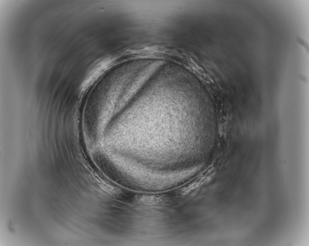 X0000098010341200804111238