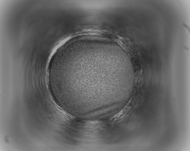 X0000098010342200804111238