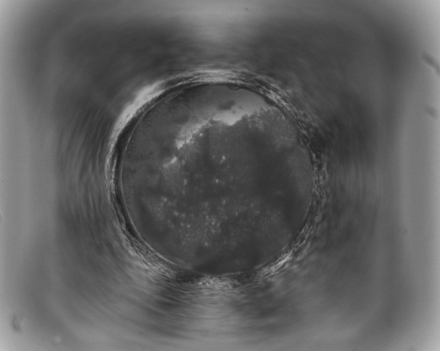 X0000098010343200804111238