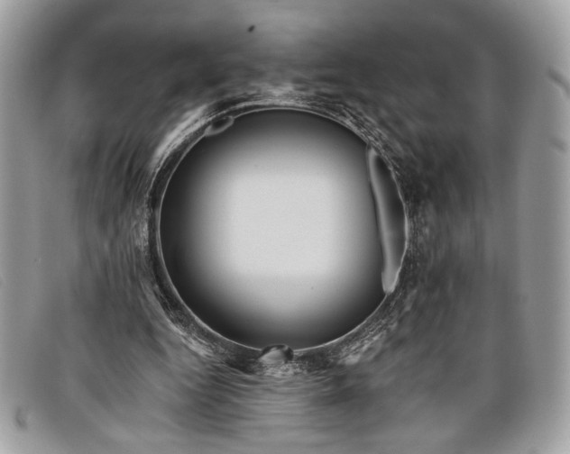 X0000098010344200804111238