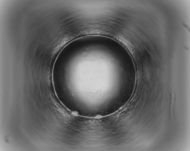 X0000098010345200804111238