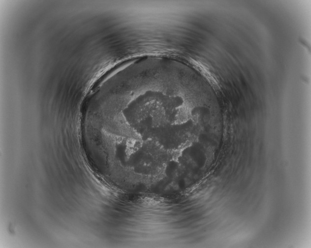 X0000098010346200804111238