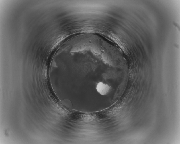 X0000098010347200804111238