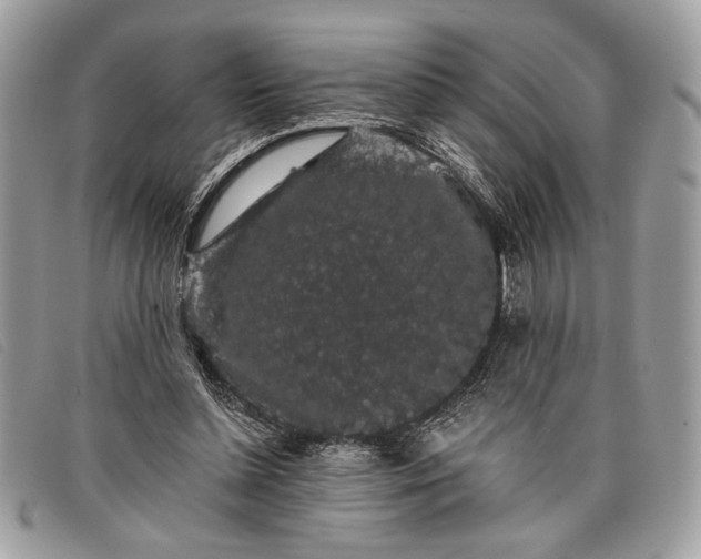 X0000098010348200804111238