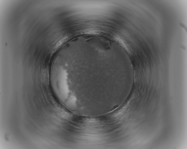 X0000098010349200804111238