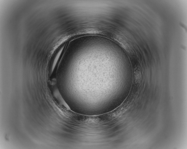 X0000098010350200804111238