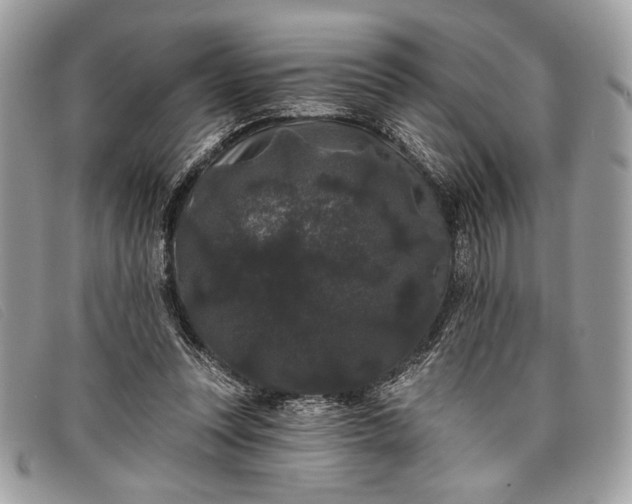 X0000098010351200804111238