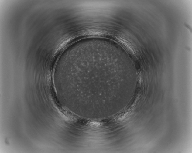 X0000098010352200804111238