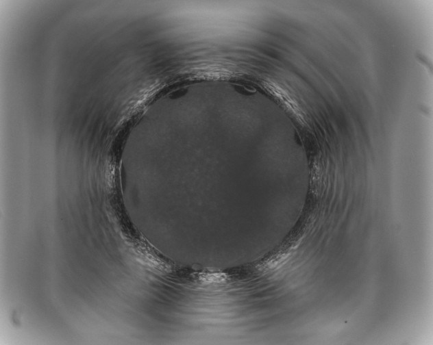 X0000098010355200804111238