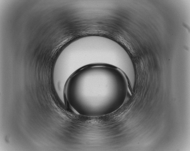 X0000098010356200804111238