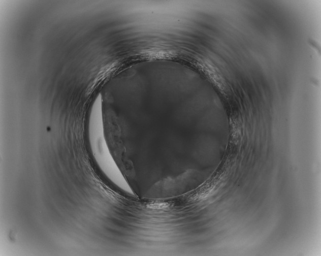 X0000098010357200804111238