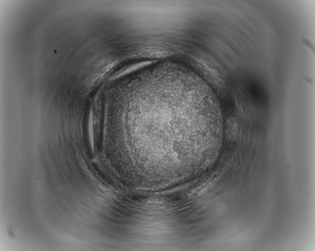 X0000098010358200804111238