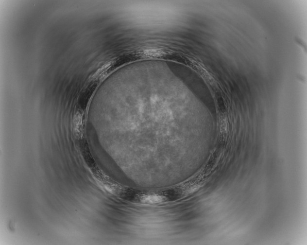 X0000098010360200804111238