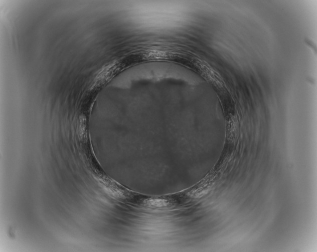 X0000098010361200804111238