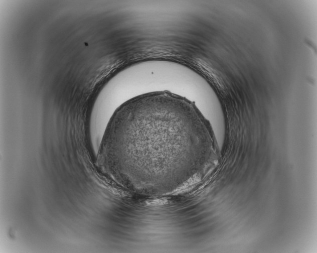 X0000098010362200804111238