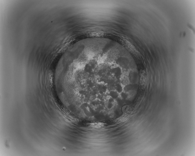 X0000098010363200804111238