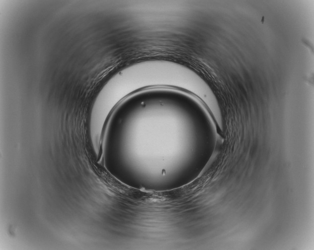 X0000098010364200804111238