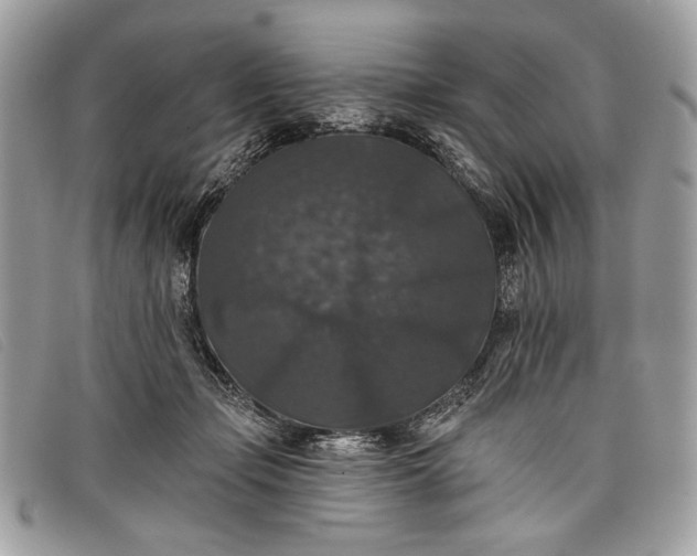 X0000098010365200804111238