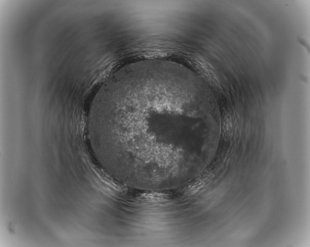 X0000098010367200804111238