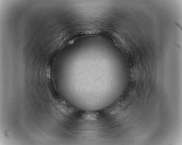 X0000098010368200804111238