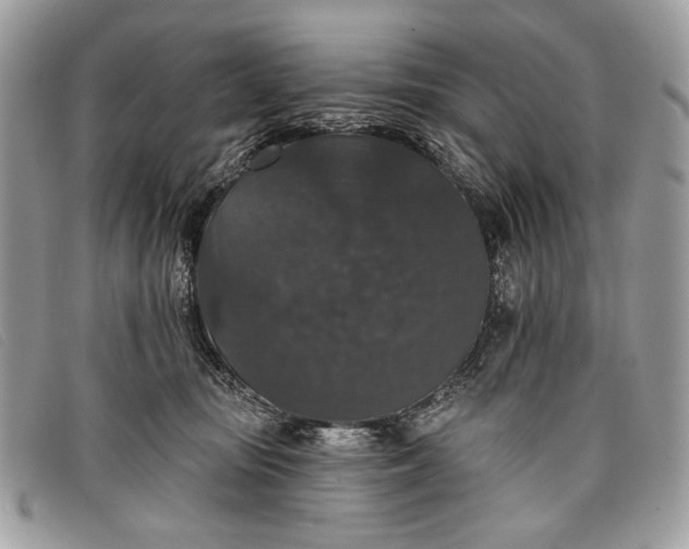 X0000098010371200804111238