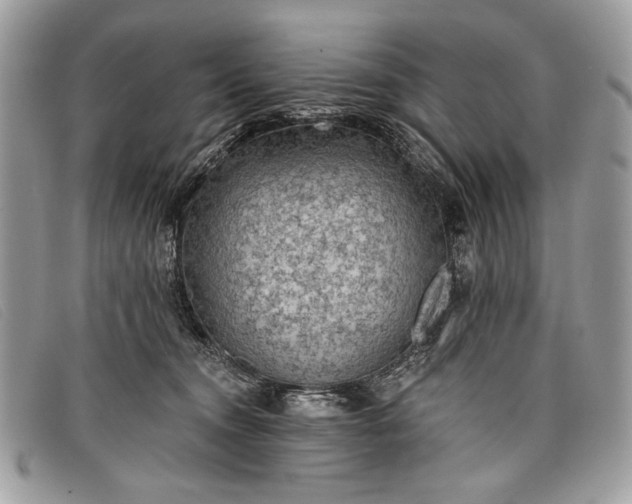 X0000098010372200804111238