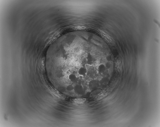 X0000098010373200804111238