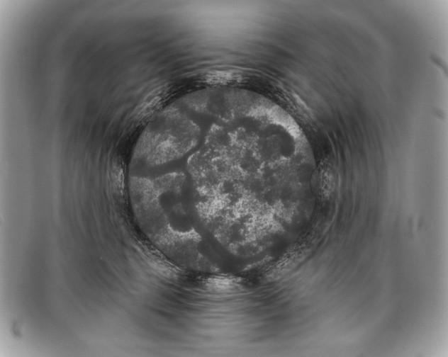 X0000098010375200804111239