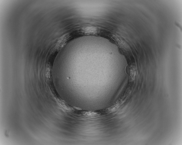 X0000098010379200804111239