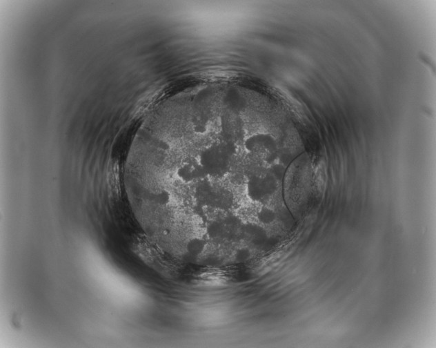 X0000098010381200804111239