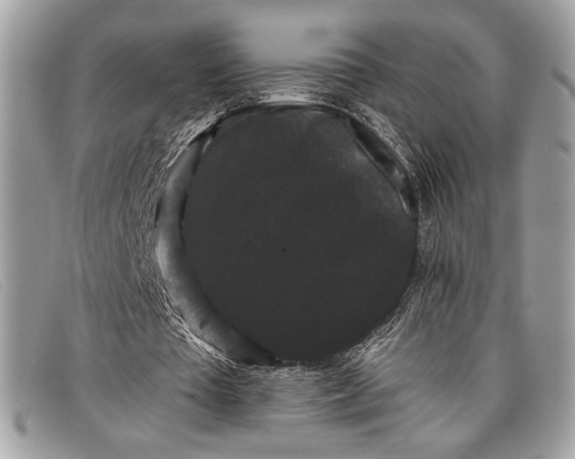 X0000098010385200804111238