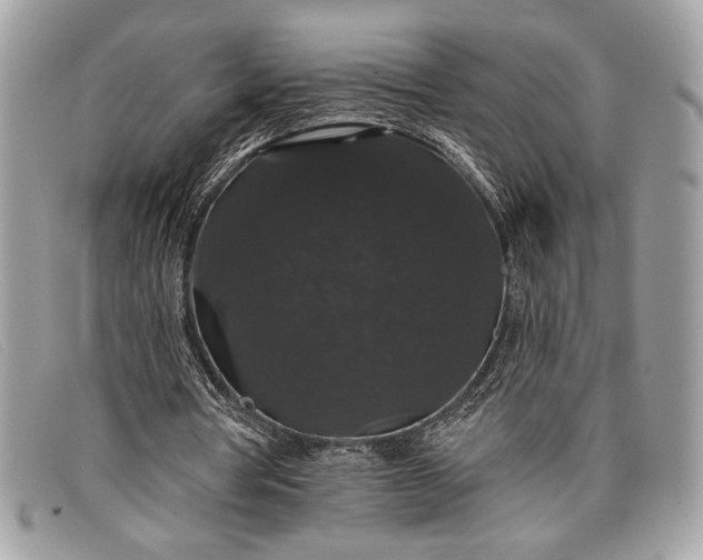 X0000098010386200804111238