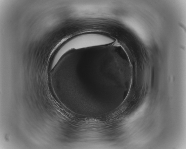 X0000098010387200804111238