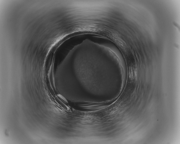 X0000098010388200804111238