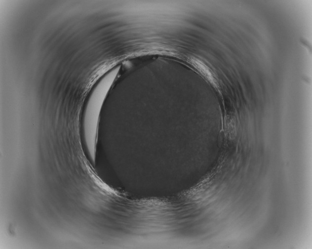 X0000098010389200804111238