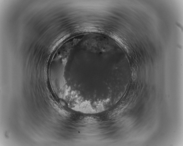 X0000098010390200804111238