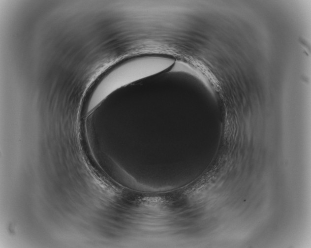 X0000098010391200804111238